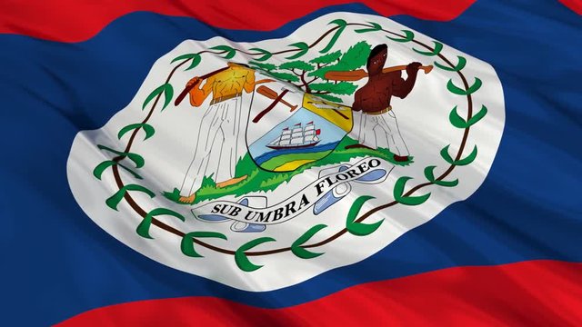Belize Flag Waving. Seamless loop.