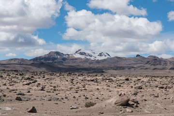 Andes Landscape