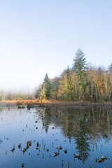 Fototapeta premium Foggy Morn At McLane Creek