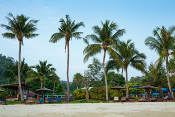 Tropical sand beach