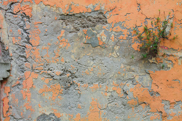 Rusted grunge painted concrete wall background texture