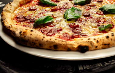 Hot pizza with cheese
