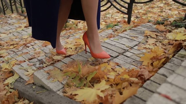 Elegant businesswoman climbing stairs in autumn