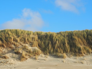 Nordsee: Düne mit unbetretenem Sand