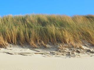 Nordseeküste: Düne mit unbetretenem Sand