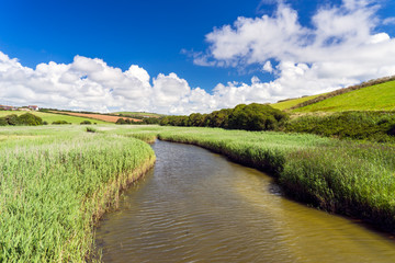 South Milton Ley Nature Reserve Devon