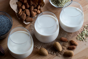 Vegan plant milks - almond milk, poppy seed milk and hemp seed milk