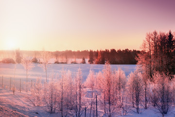 Winter landscape