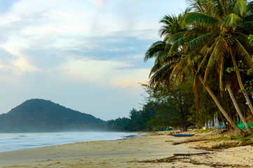 Beautiful scenic view of the wild beach