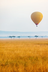 Naklejka premium Hot air balloon in Africa