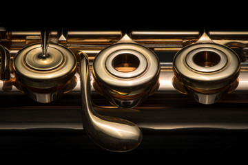 Details of a golden flute black background © Stefan