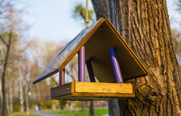 Homemade bird feeder.