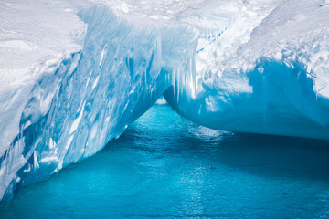 Cierva Cove, Antarctica