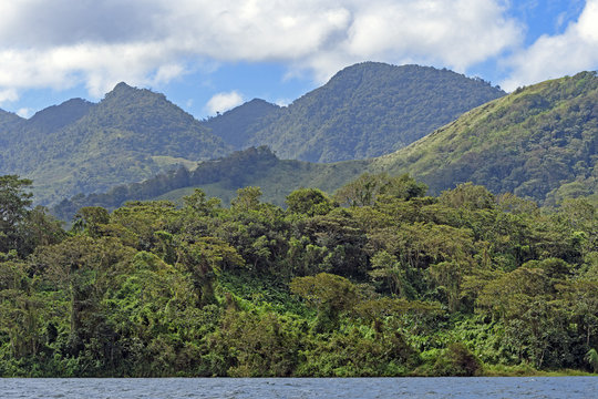 Verdant Volcanic Peaks in the Tropics