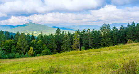 Fototapeta na wymiar Photo of green forest and valley in Carpathian mountains
