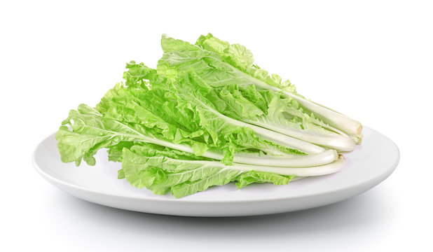 lettuce leaves in a plate isolated on a white background
