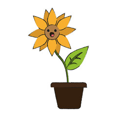 Sunflower in vase icon vector illustration graphc design