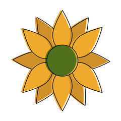 Sunflower beautiful flower icon vector illustration graphic design