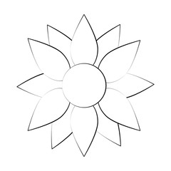 Sunflower beautiful flower icon vector illustration graphic design