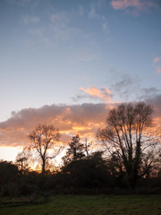 beautiful open autumn field Dedham sun set light tree branches sky