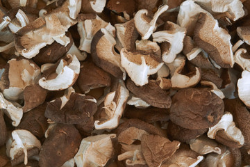 The shiitake mushrooms that are dried in the sun and the water has gone off.