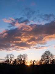 Obraz premium beautiful open autumn field Dedham sun set light tree branches sky