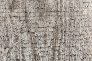 texture of an old faded and weathered rough wood