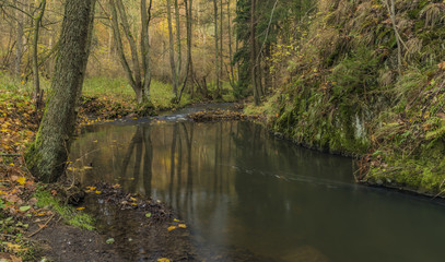 Fototapeta na wymiar Bobri creek in Ceske Stredohori mountains