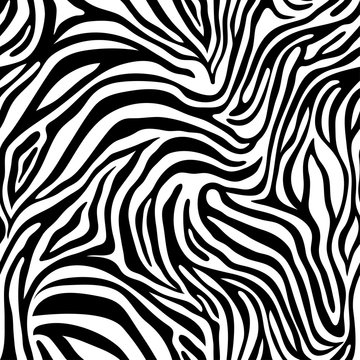 Seamless zebra skin pattern. Wallpaper with black stripes on white background. Zebra stripes hunting camouflage.