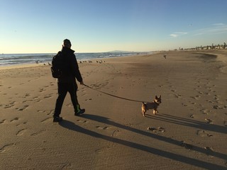 Man and Dog at the Beach 01