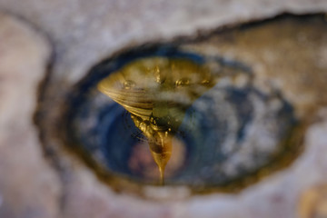 Reflection of golden stupa in a water puddle