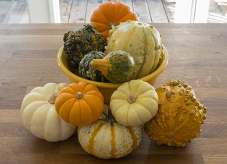 Multi-colored gourds in yellow bowl on wood table