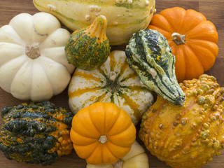Overhead close-up of multi-colored gourds on a wood background
