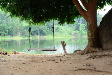 the wooden swing under the tree near the river