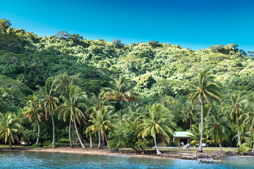 Island Home