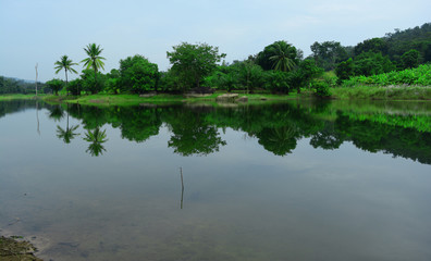 Fototapeta na wymiar the green island and trees reflection in water