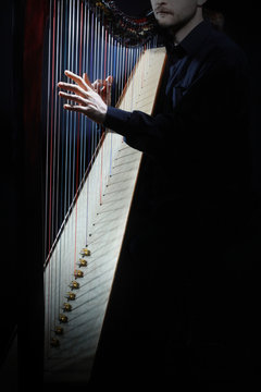 Harp instrument strings closeup