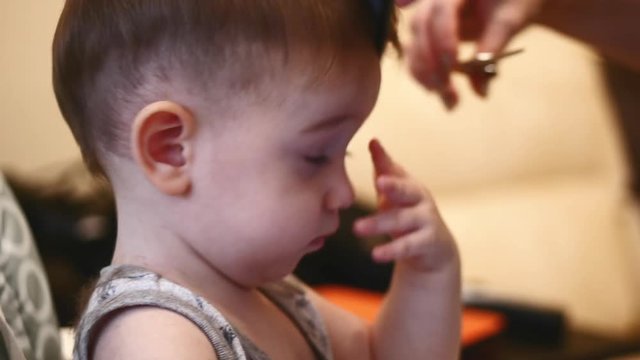 Child hairstyle. Hairdresser working with small boy in barbershop. Stylist combing hair child. Man making haircut for little boy. Child hair cut. Kids hair cut