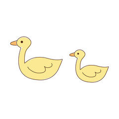 Duck 