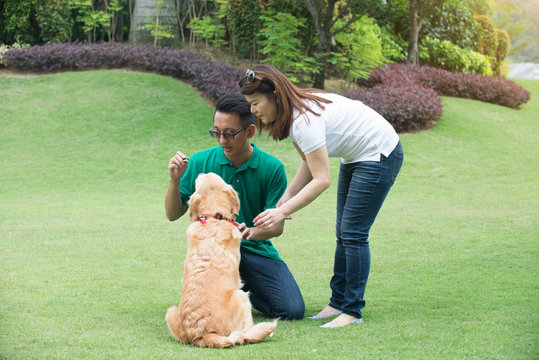 asian chinese couple with a  dog