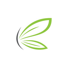butterfly leaf logo template