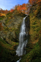 紅葉の降る滝