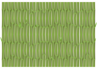 Bamboo branches in vertical position