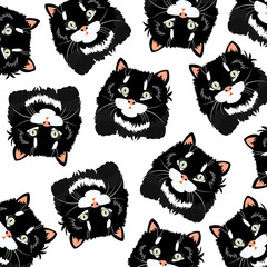 Obraz premium Black cats on white background