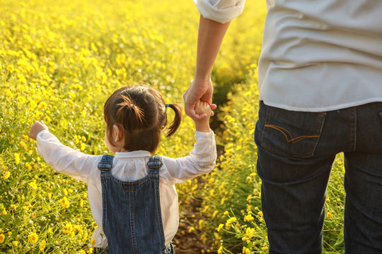 Mother holding hand of cute little laughing girl or asian little girl in the field of yellow flowers in a sunny summer evening, at the
