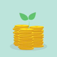 Plant Growing In Savings Coins - Investment And Interest Concept ,Business investment growth concept,with stack money coin