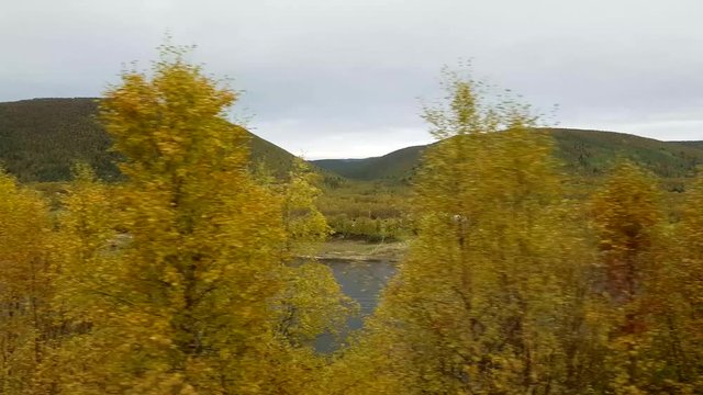 Autumn color road, Sideway driving view of road 970 the tenontie, near tenojoki river, at the border of norway and utsjoki, on a sunny evening dawn, in Lapland, Finland