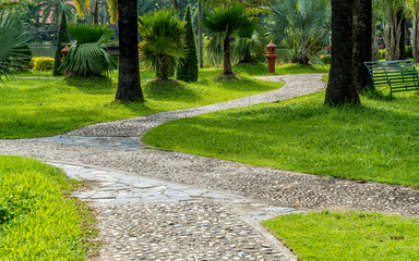 Concrete Pathway in the park