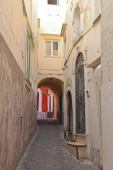 Fototapeta na wymiar Narrow Street in Capri