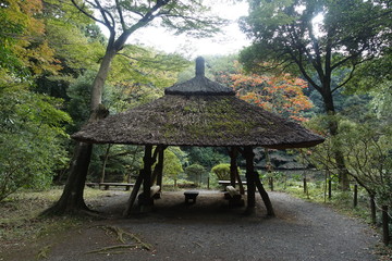 japanese hut